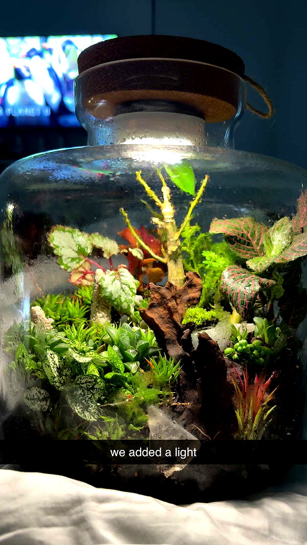 abigailwhhitee image ~ Altpins