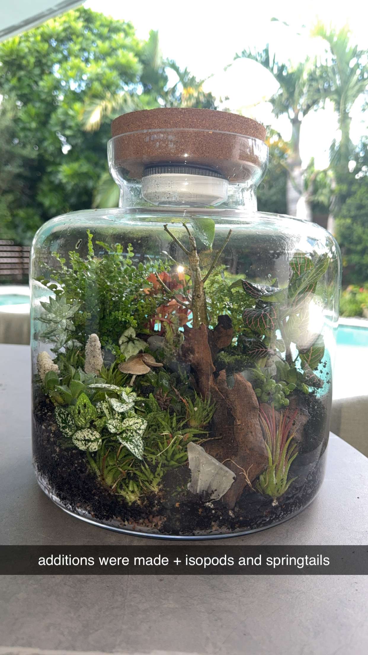 abigailwhhitee snapchat image archive image