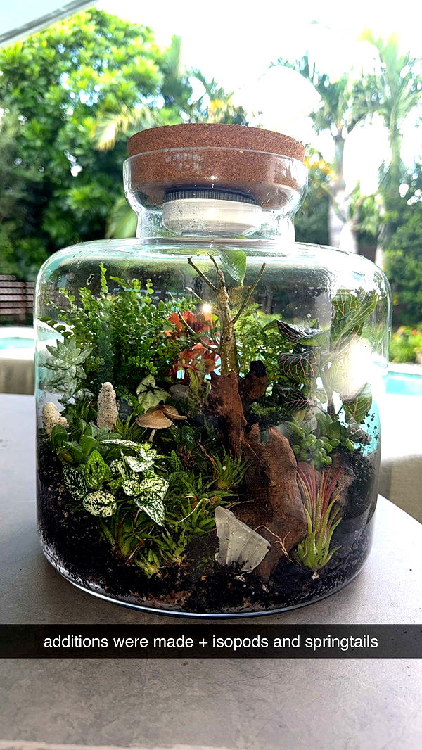 abigailwhhitee image ~ Altpins