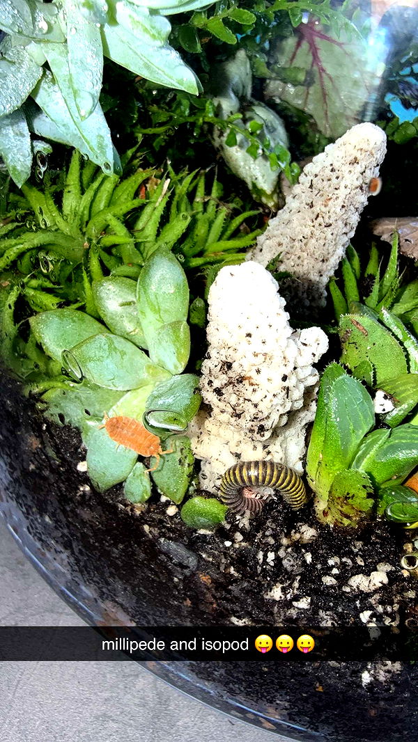 abigailwhhitee image ~ Altpins