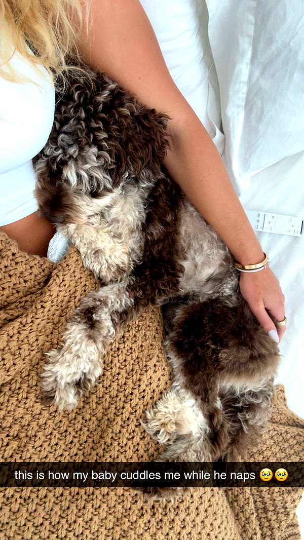 abigailwhhitee image ~ Altpins