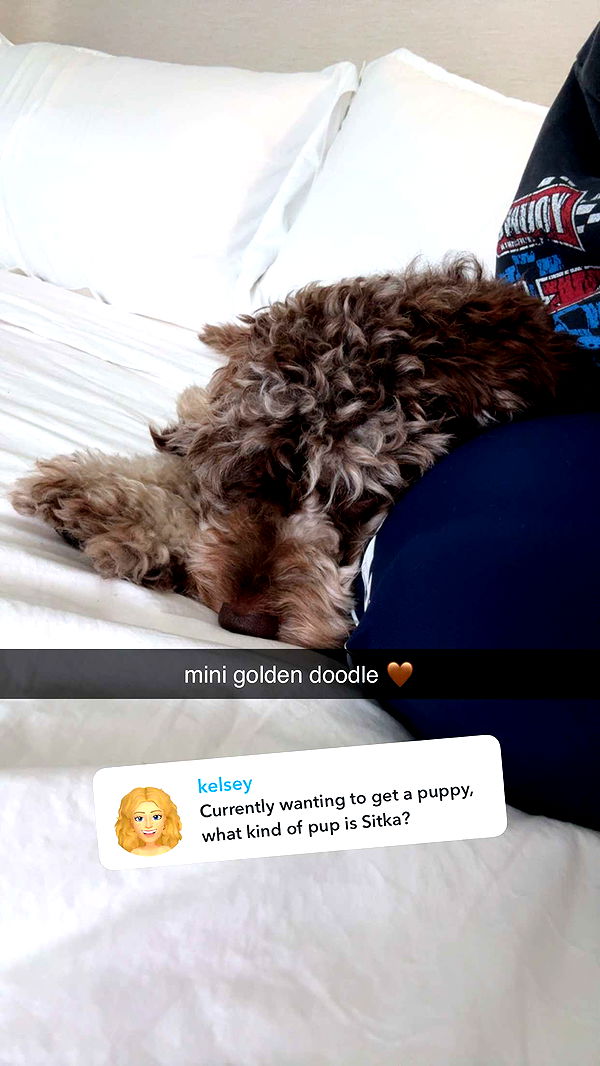 abigailwhhitee image ~ Altpins