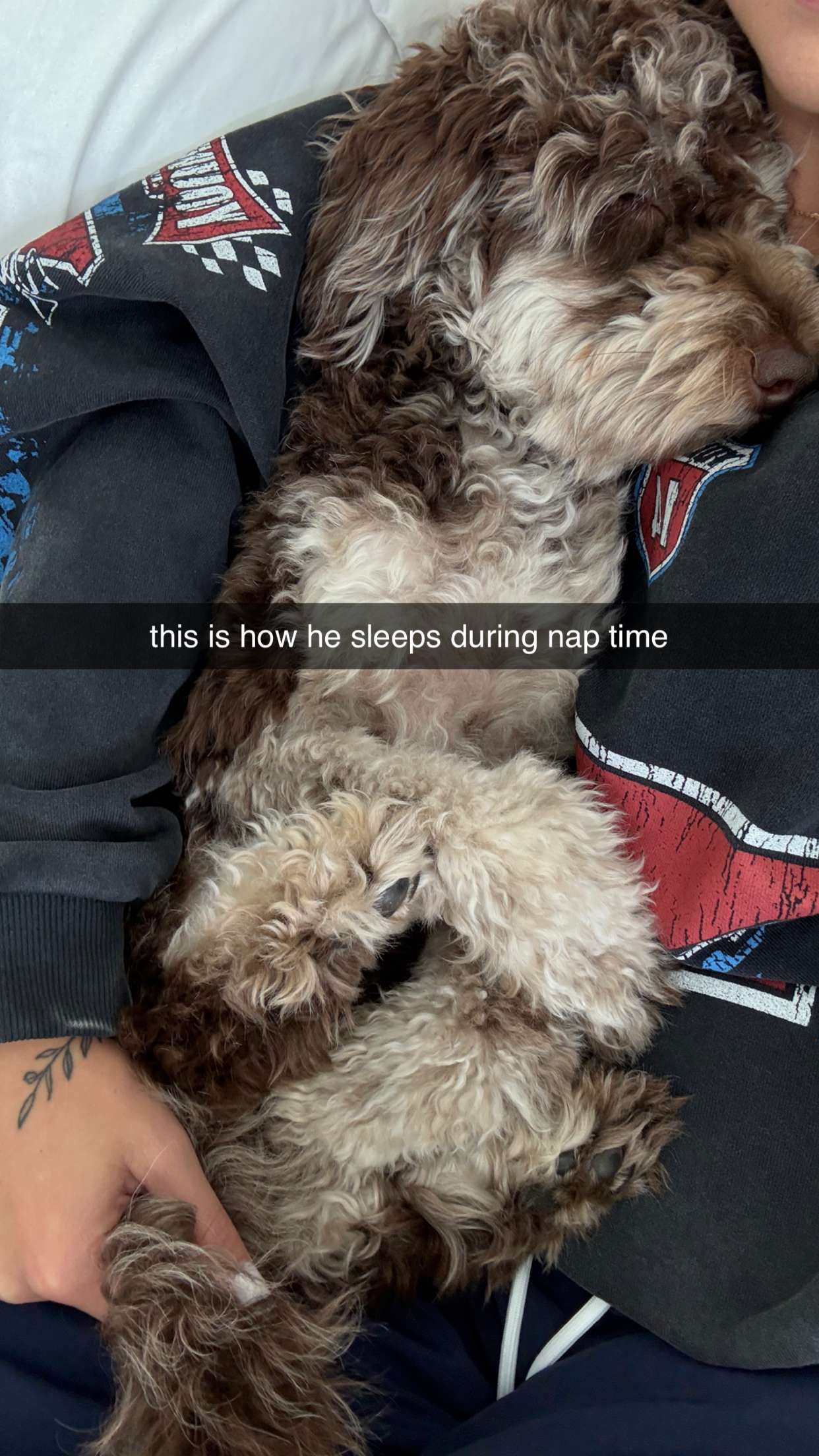 abigailwhhitee snapchat image archive image