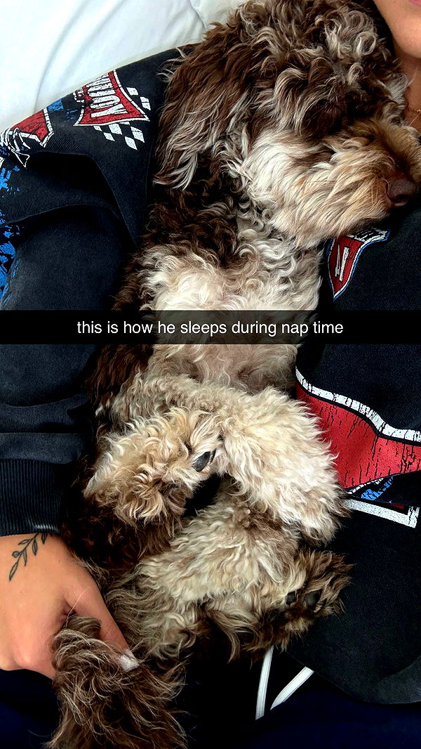 abigailwhhitee image ~ Altpins