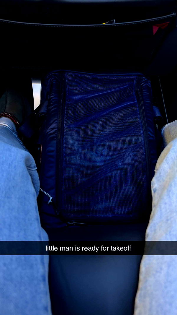 abigailwhhitee image ~ Altpins