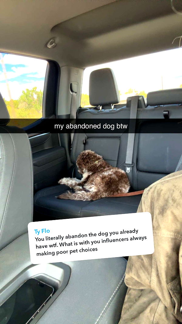 abigailwhhitee image ~ Altpins