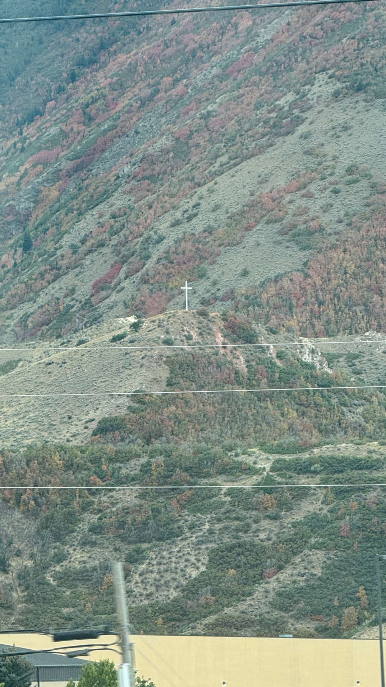 abigailwhhitee snapchat image archive image