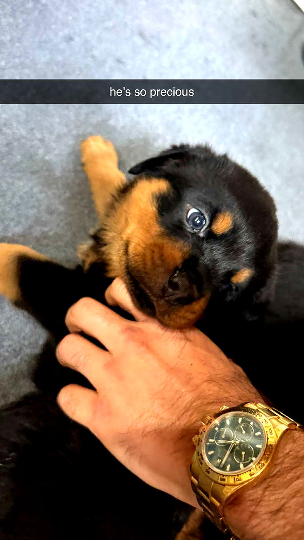 abigailwhhitee image ~ Altpins