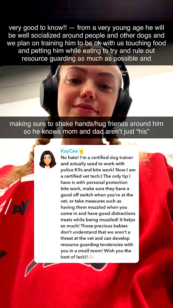 abigailwhhitee image ~ Altpins