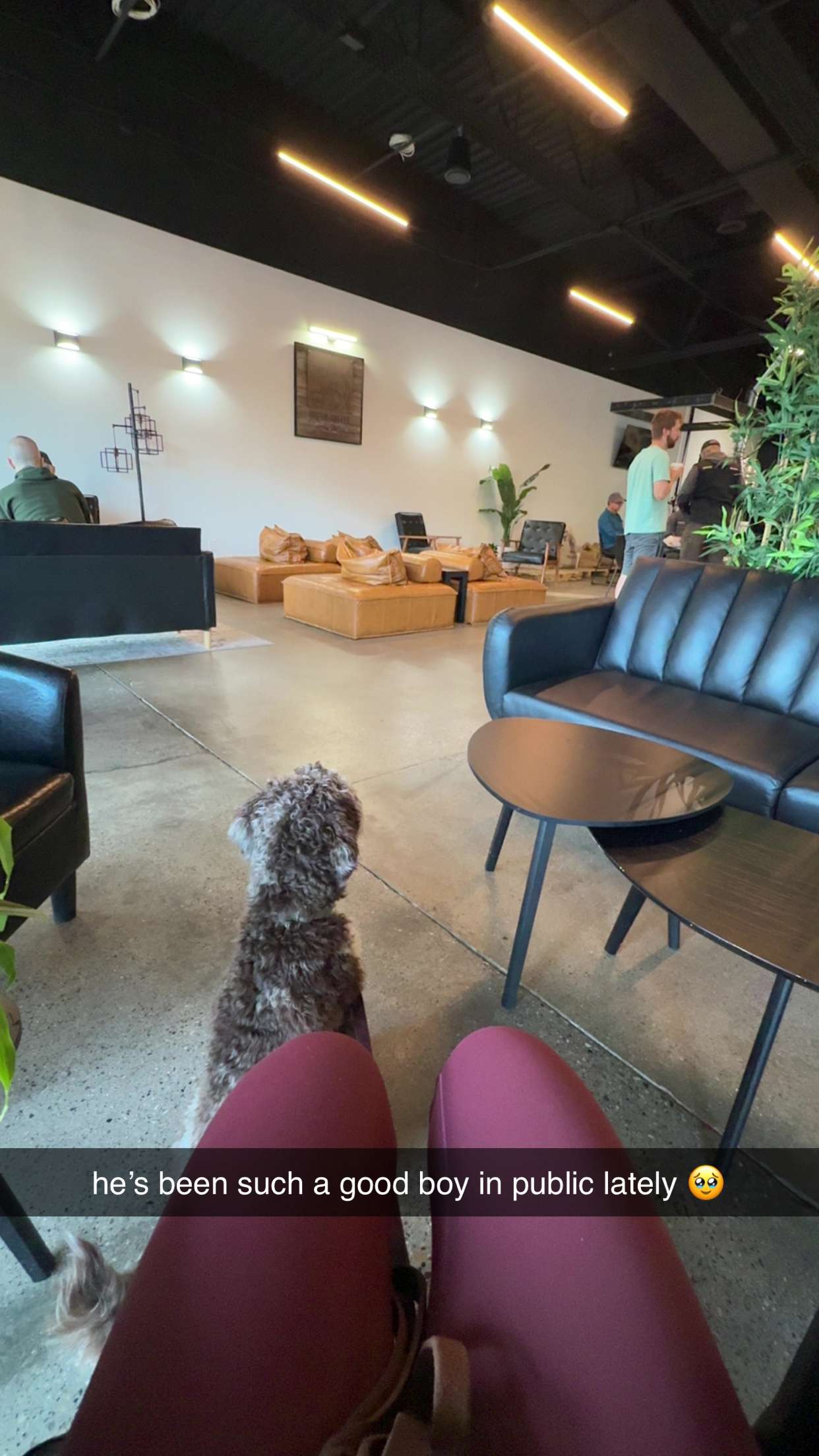 abigailwhhitee snapchat image archive image