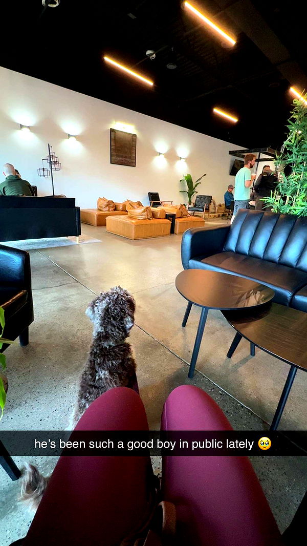 abigailwhhitee image ~ Altpins