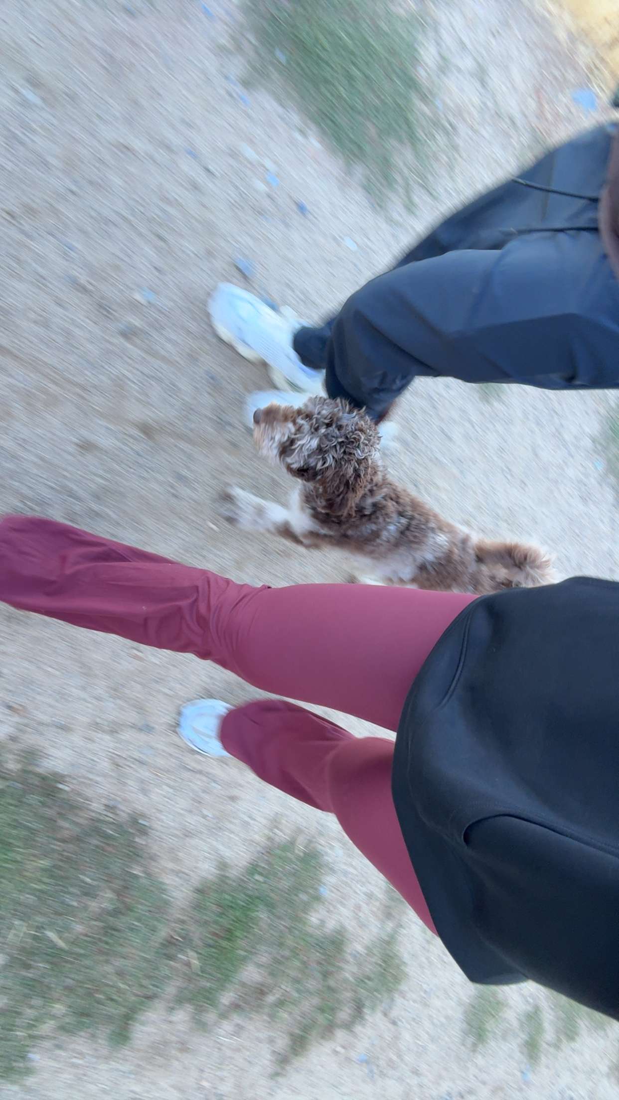 abigailwhhitee snapchat image archive image