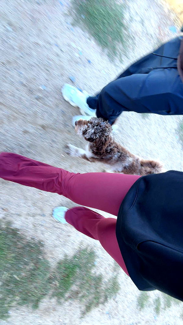 abigailwhhitee image ~ Altpins