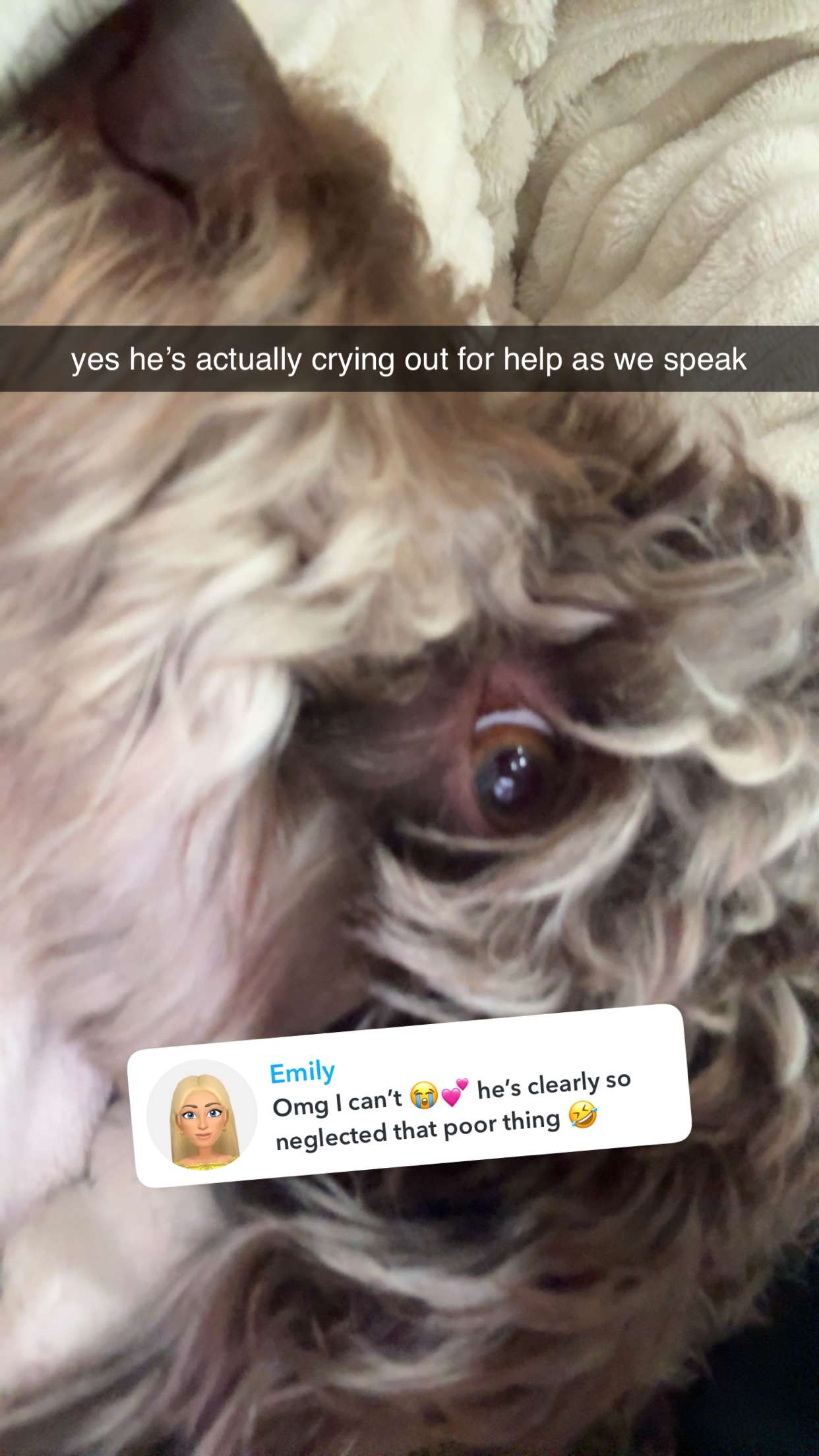 abigailwhhitee snapchat image archive image