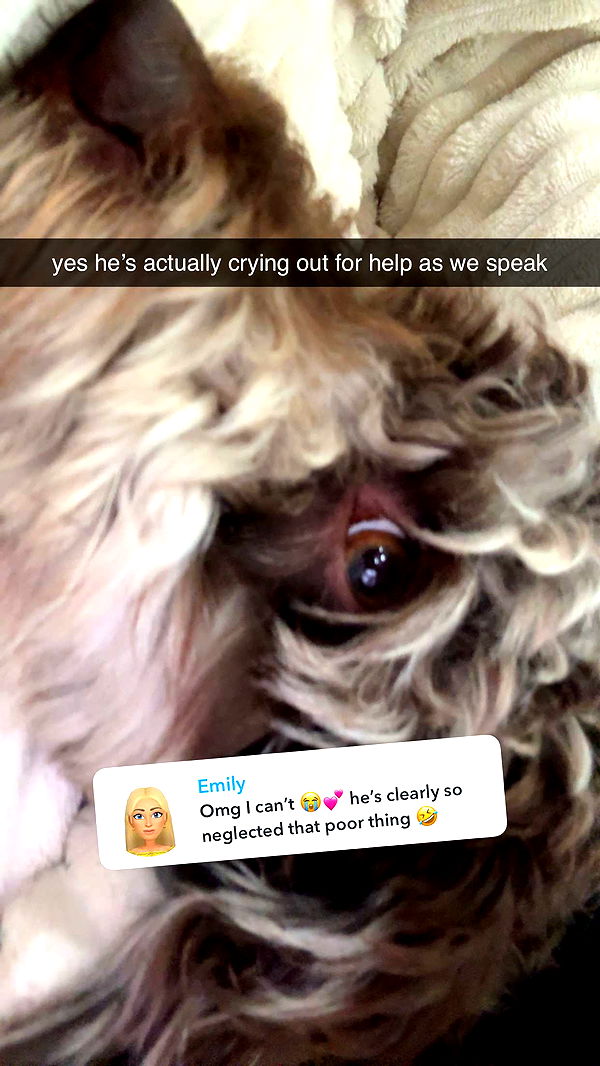 abigailwhhitee image ~ Altpins