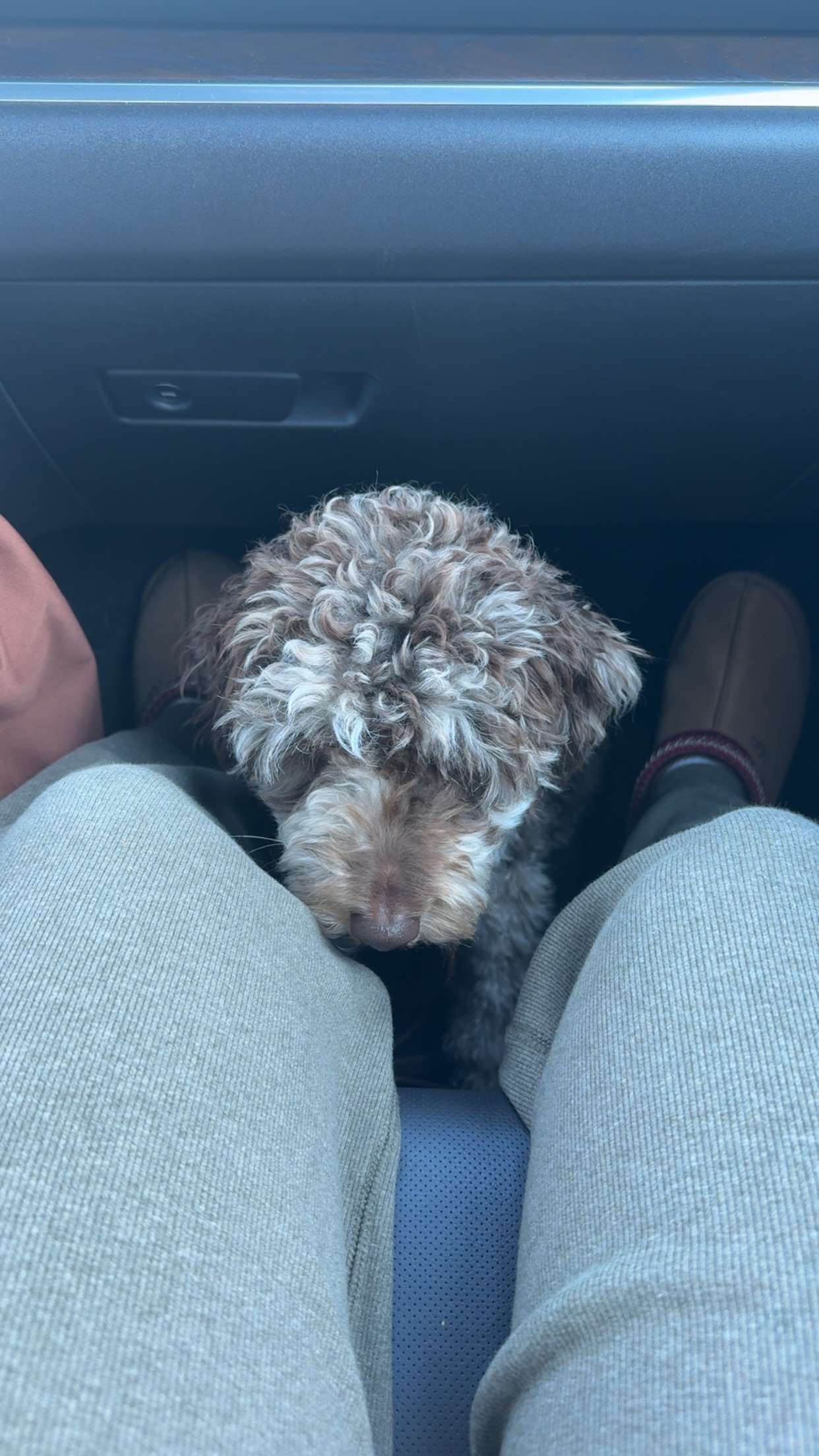 abigailwhhitee snapchat image archive image