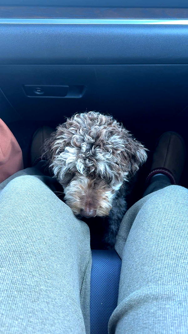 abigailwhhitee image ~ Altpins