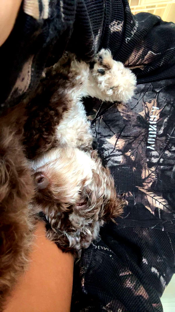 abigailwhhitee image ~ Altpins