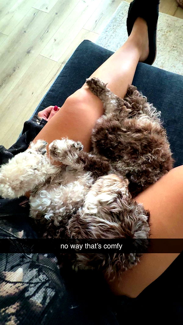 abigailwhhitee image ~ Altpins