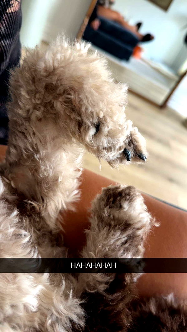 abigailwhhitee image ~ Altpins