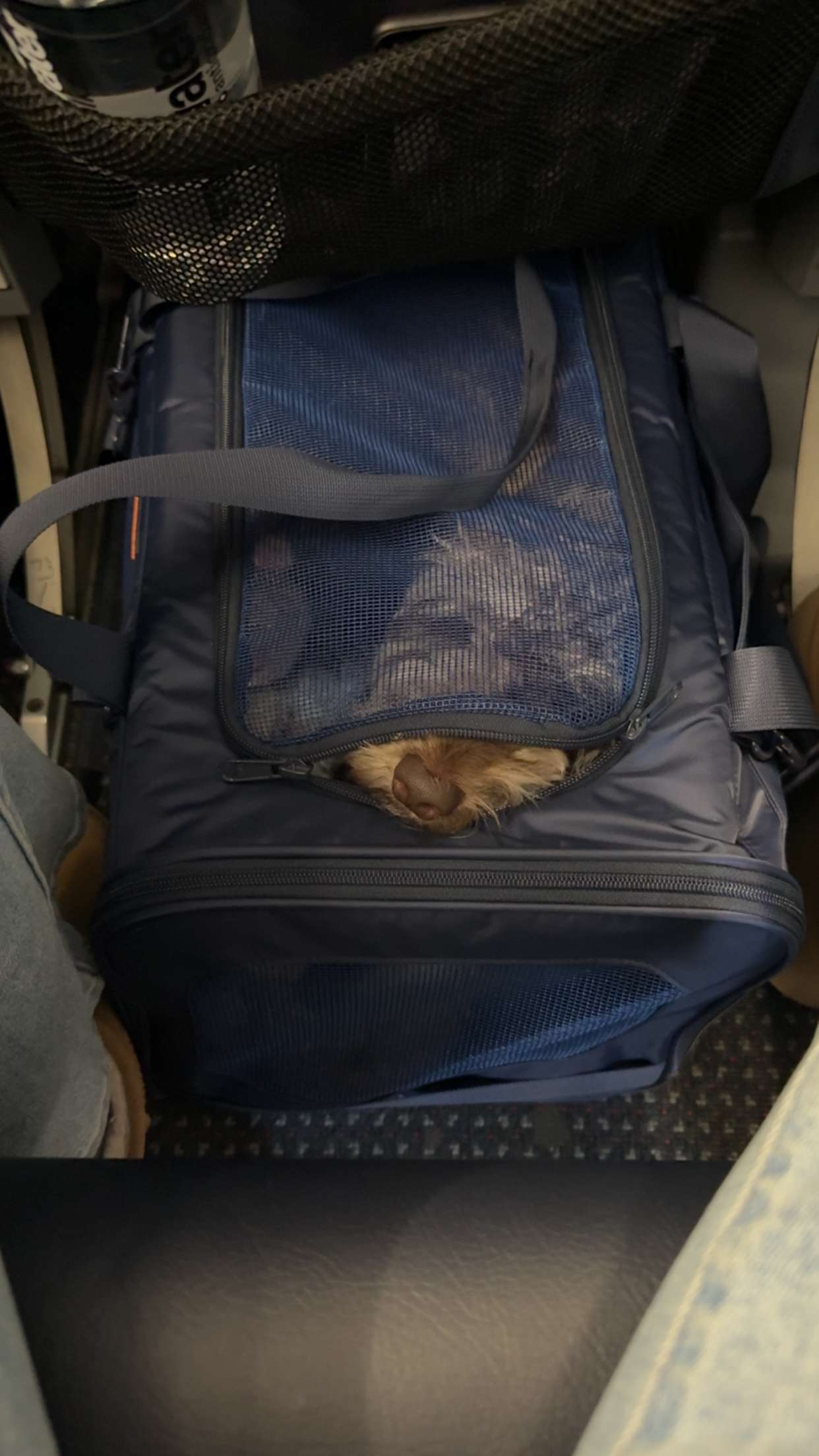 abigailwhhitee snapchat image archive image