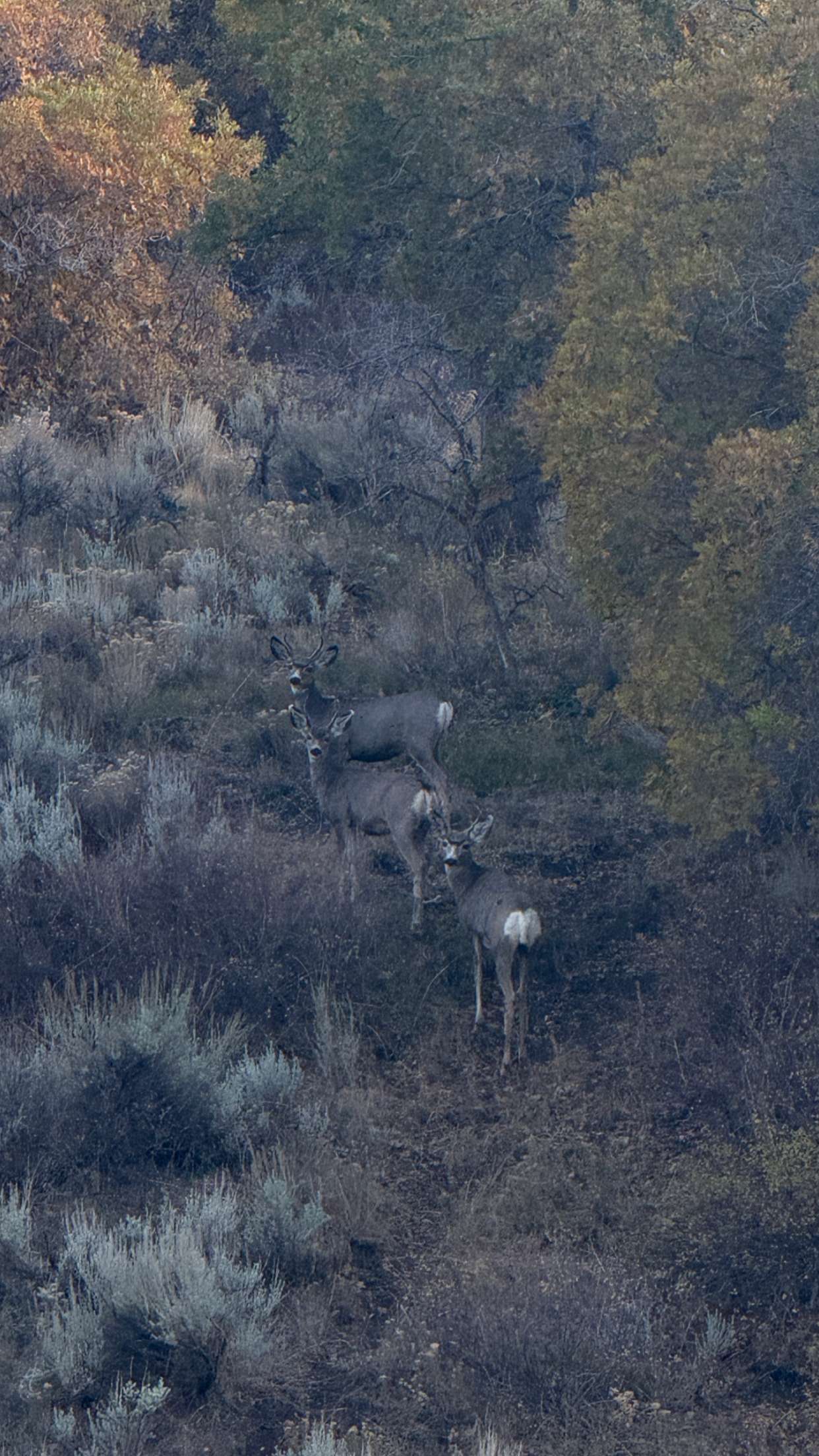 abigailwhhitee snapchat image archive image