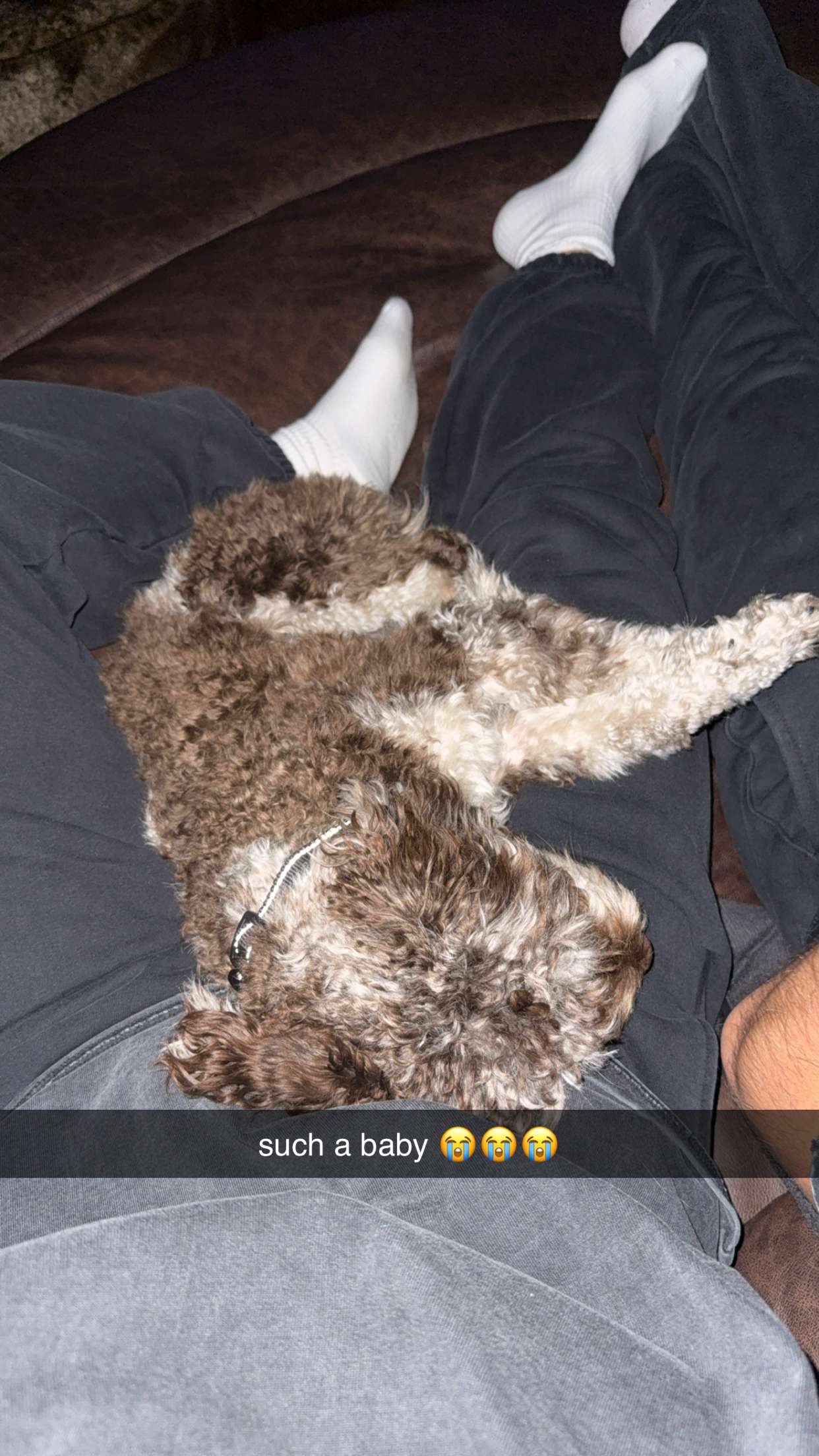 abigailwhhitee snapchat image archive image