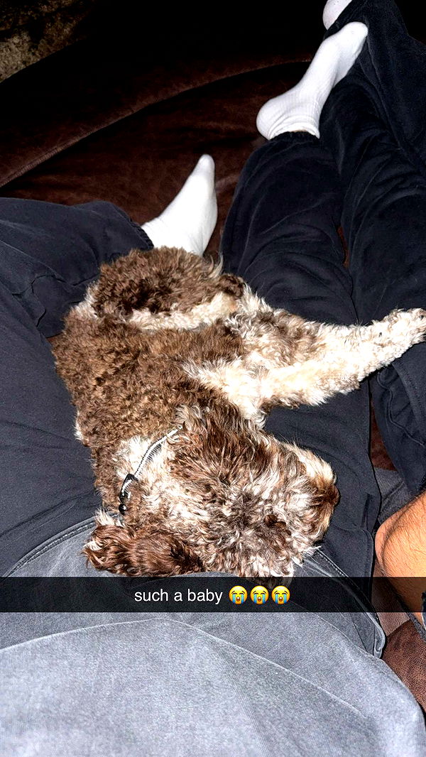 abigailwhhitee image ~ Altpins