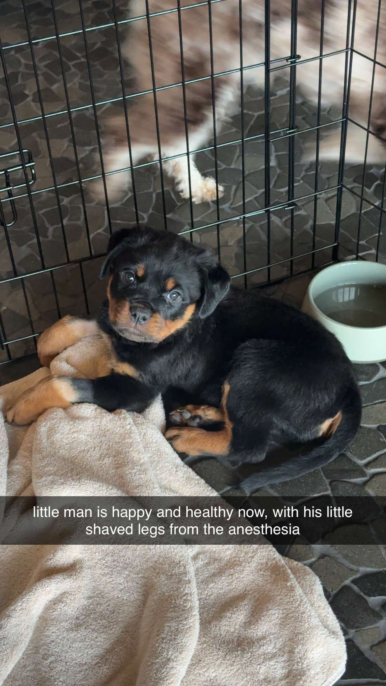 abigailwhhitee snapchat image archive image