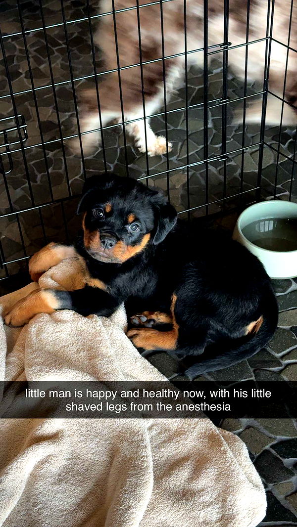 abigailwhhitee image ~ Altpins