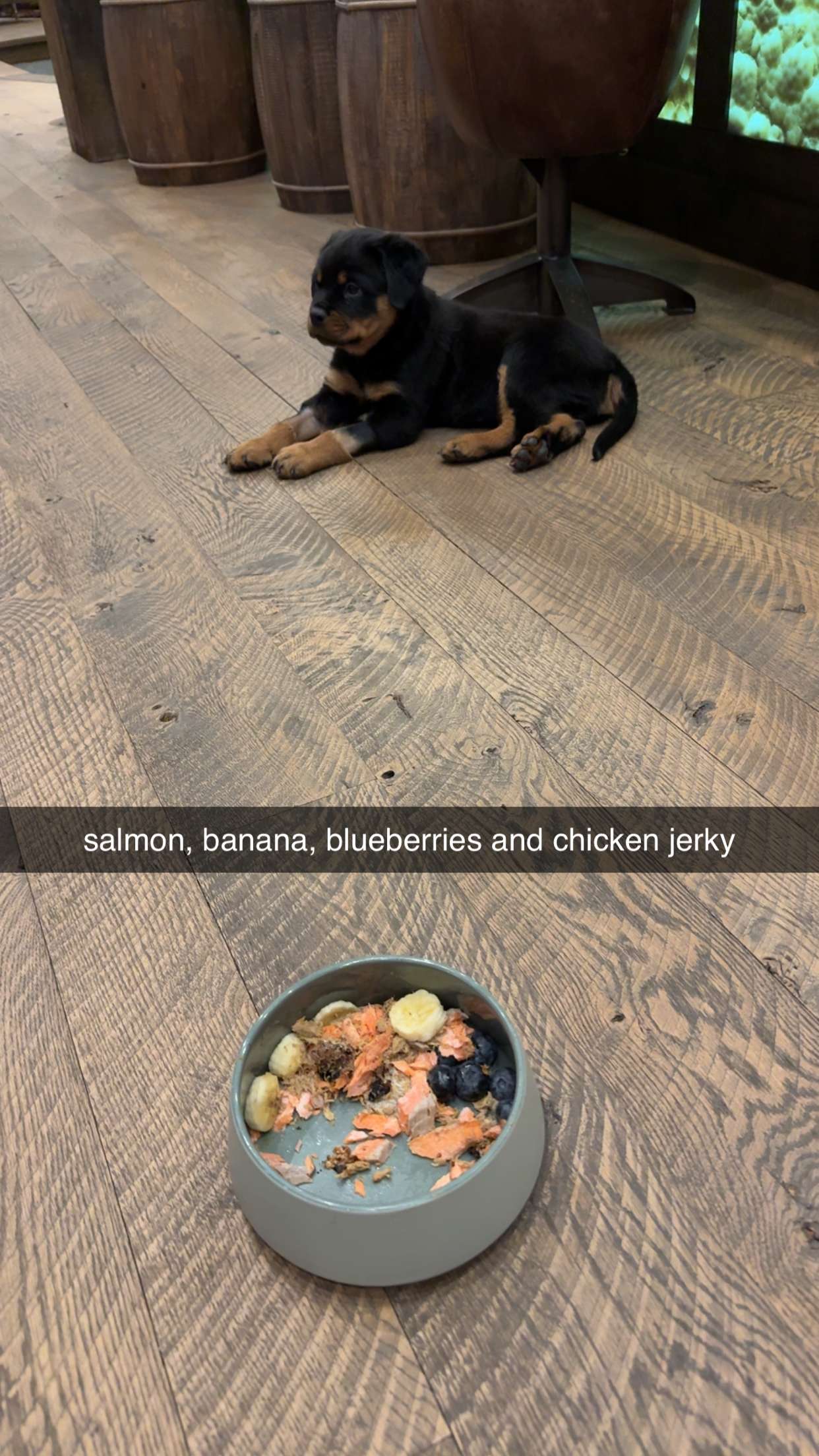 abigailwhhitee snapchat image archive image