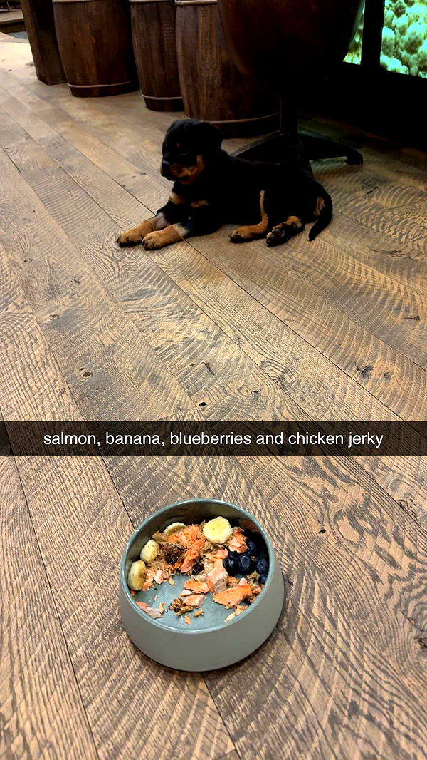 abigailwhhitee image ~ Altpins