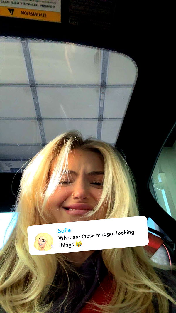 abigailwhhitee image ~ Altpins