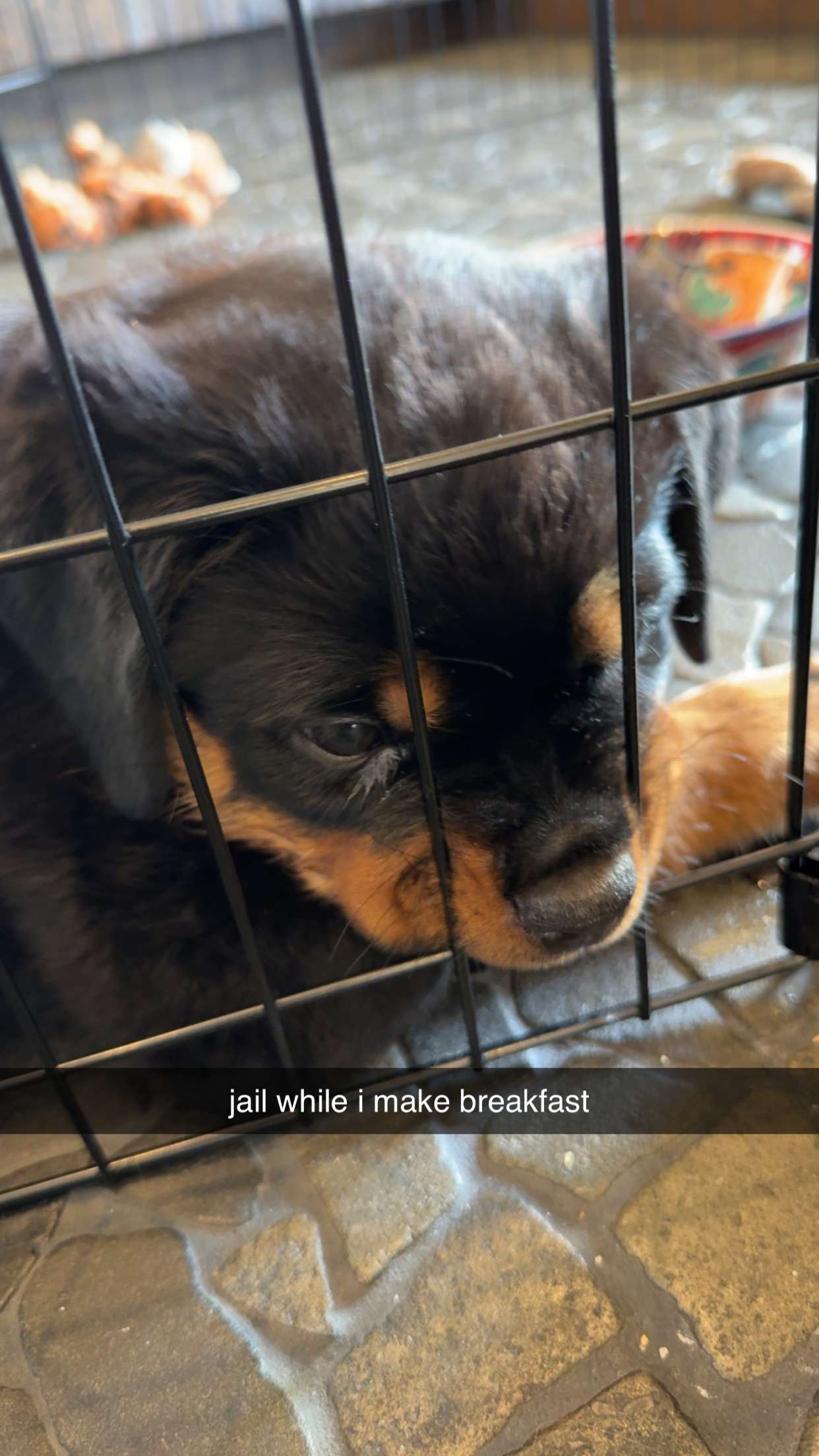 abigailwhhitee snapchat image archive image