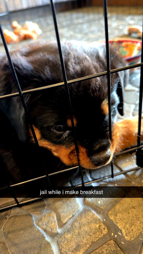 abigailwhhitee image ~ Altpins