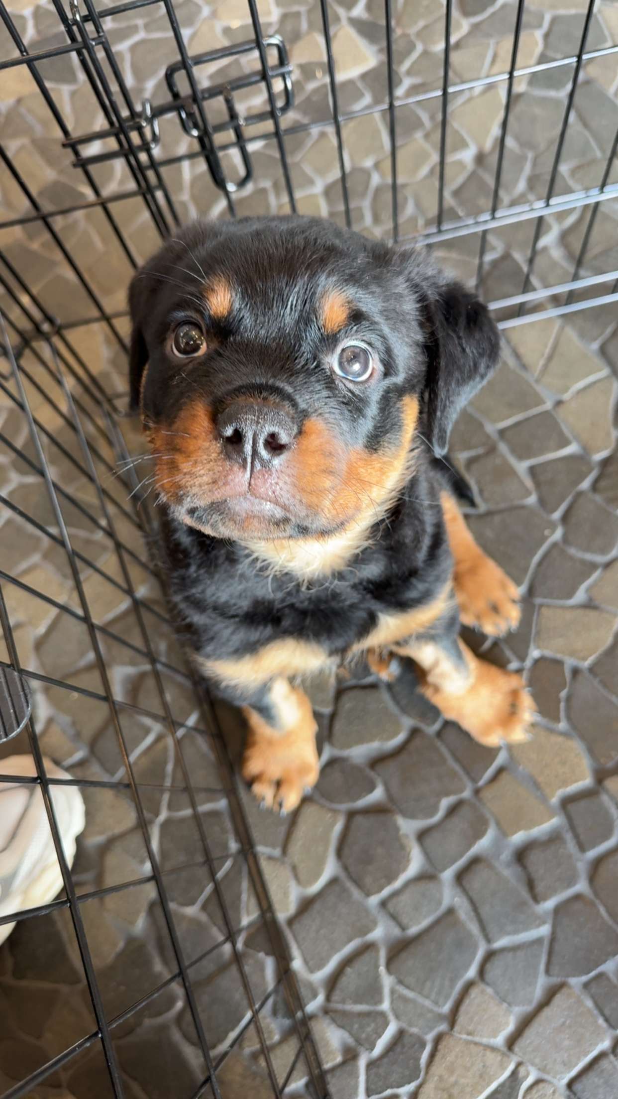 abigailwhhitee snapchat image archive image