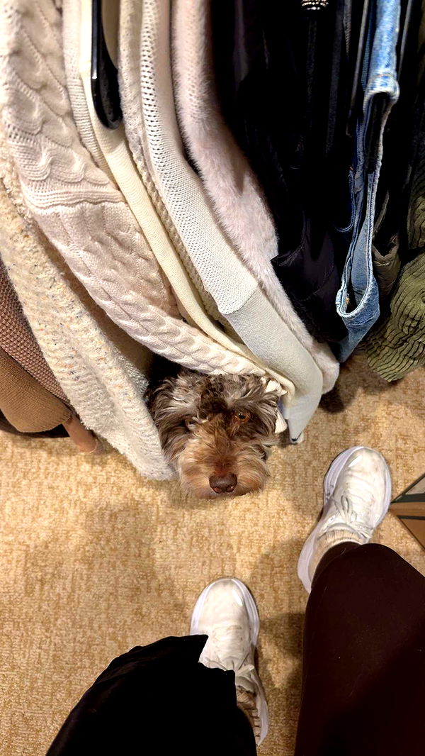 abigailwhhitee image ~ Altpins