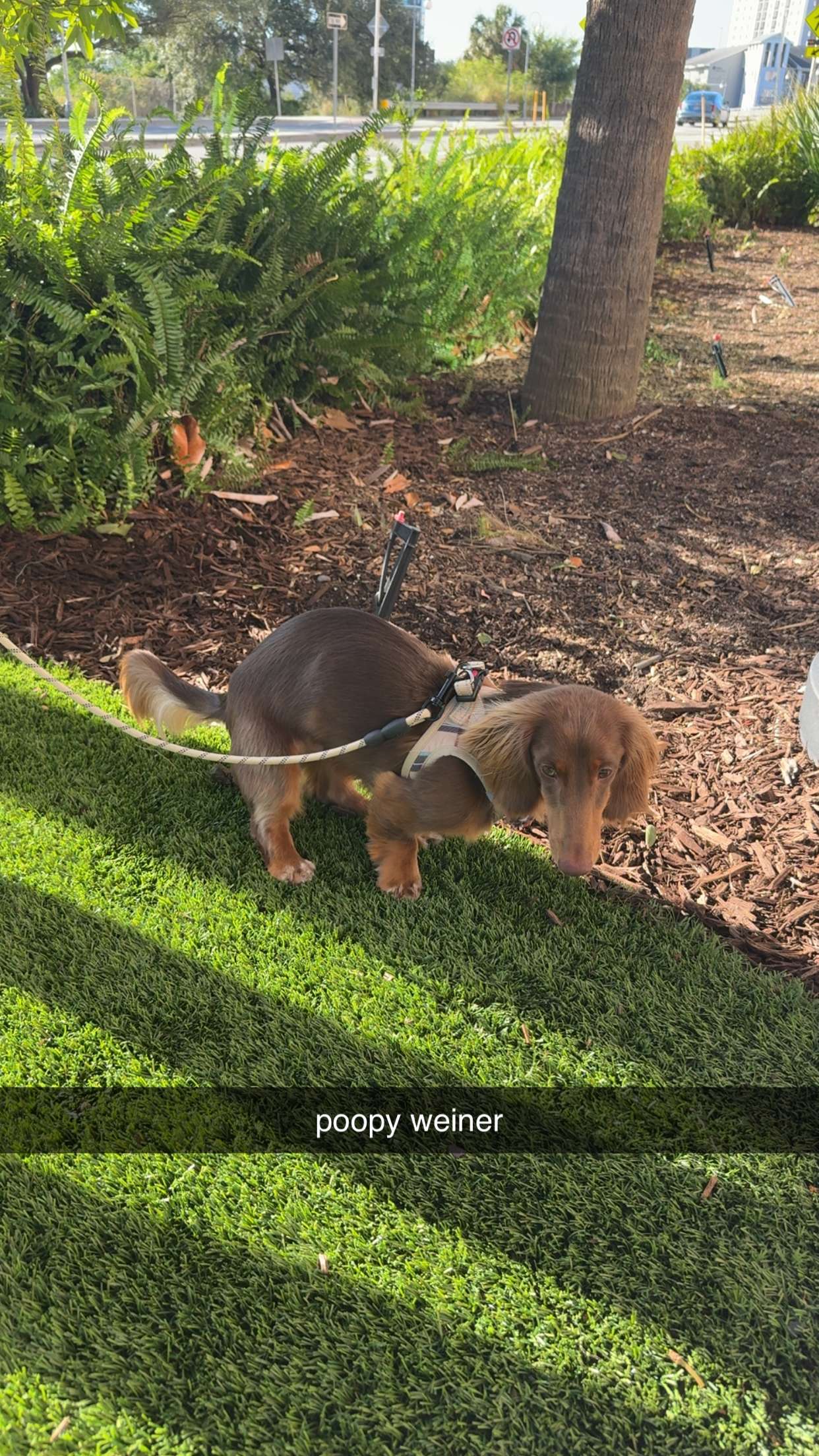 abigailwhhitee snapchat image archive image