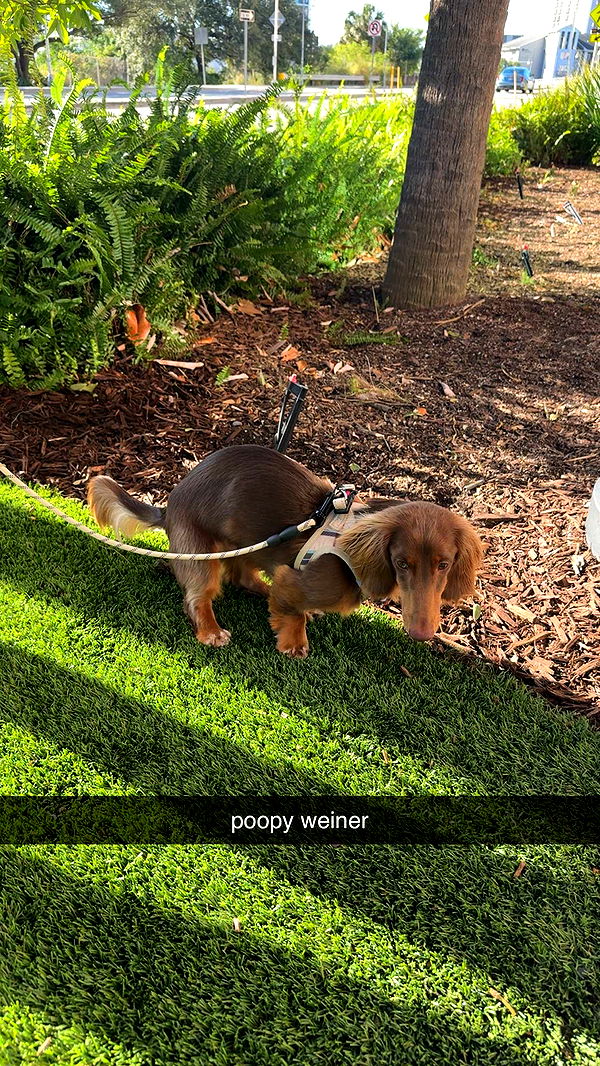 abigailwhhitee image ~ Altpins