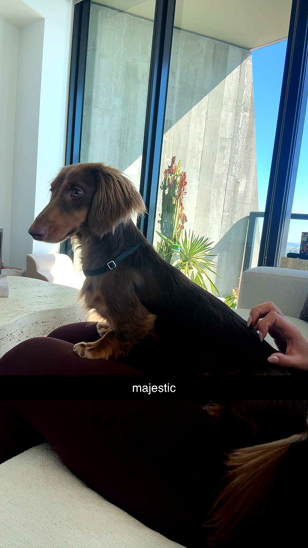 abigailwhhitee image ~ Altpins