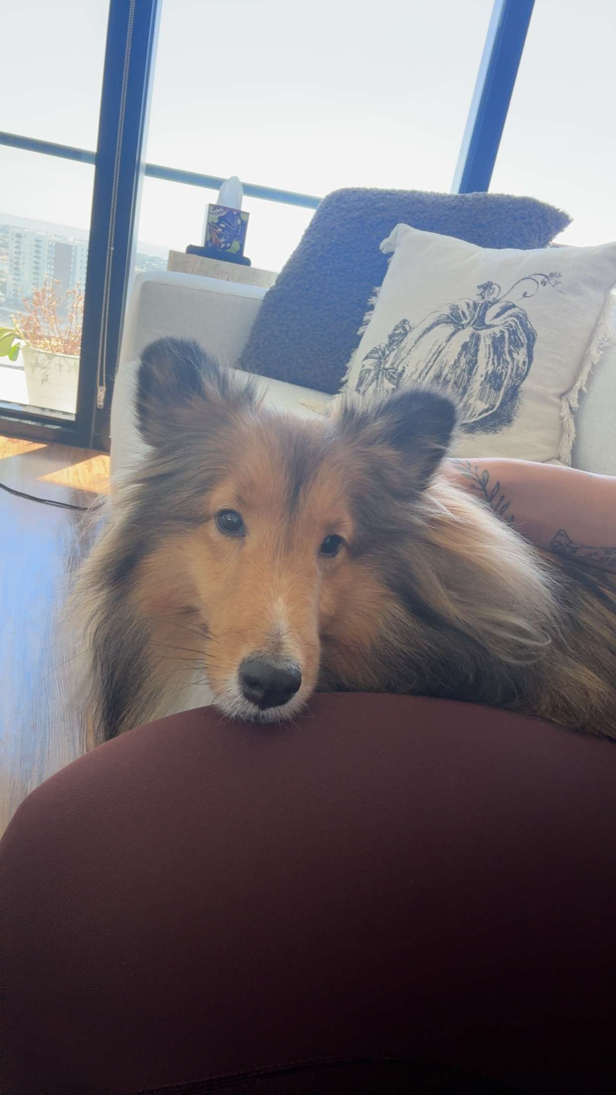 abigailwhhitee snapchat image archive image