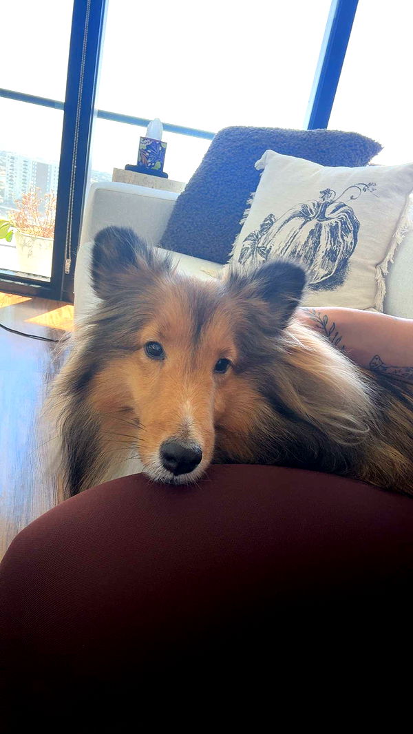 abigailwhhitee image ~ Altpins