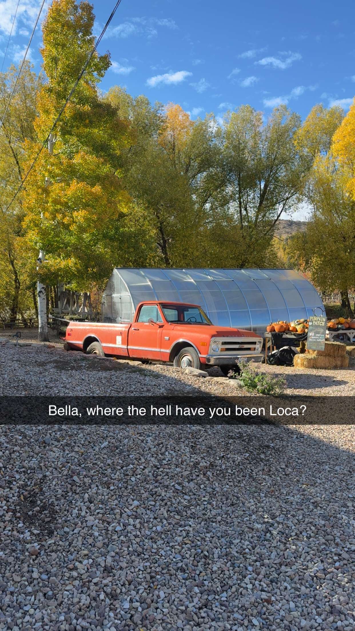 abigailwhhitee snapchat image archive image