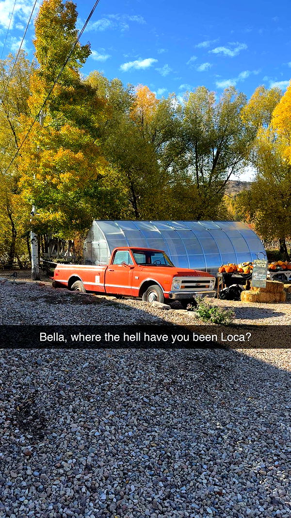 abigailwhhitee image ~ Altpins