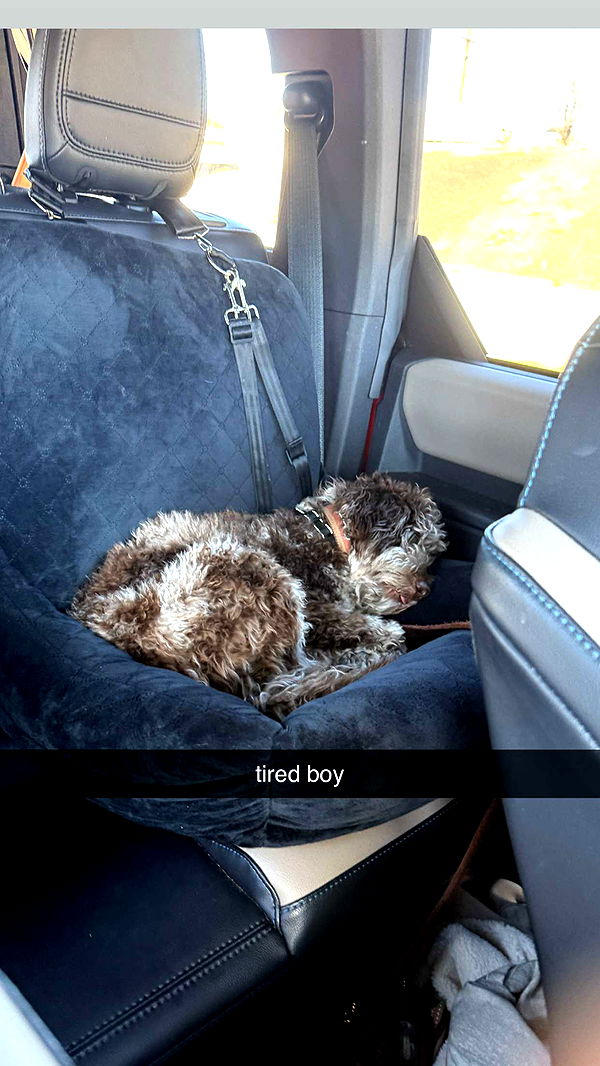 abigailwhhitee image ~ Altpins