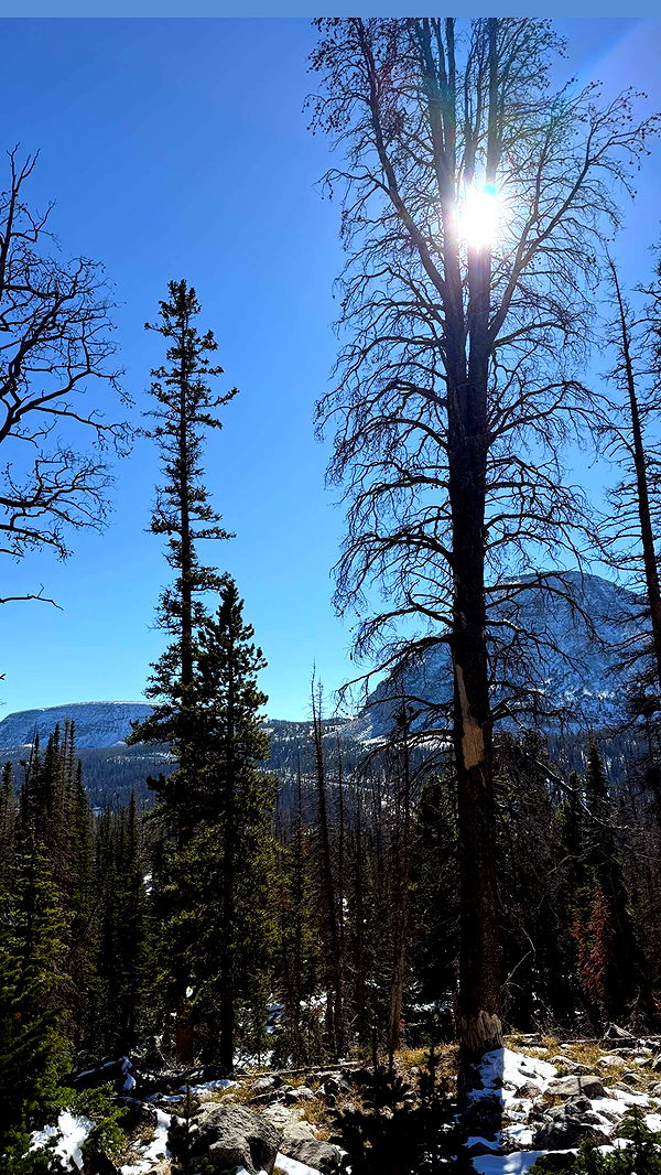 abigailwhhitee image ~ Altpins