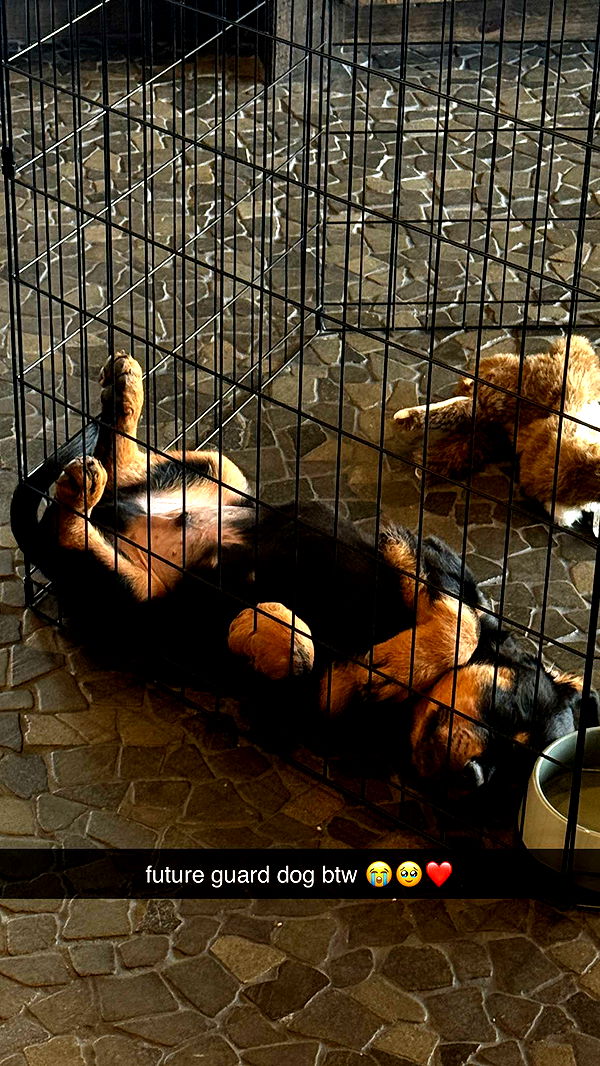 abigailwhhitee image ~ Altpins