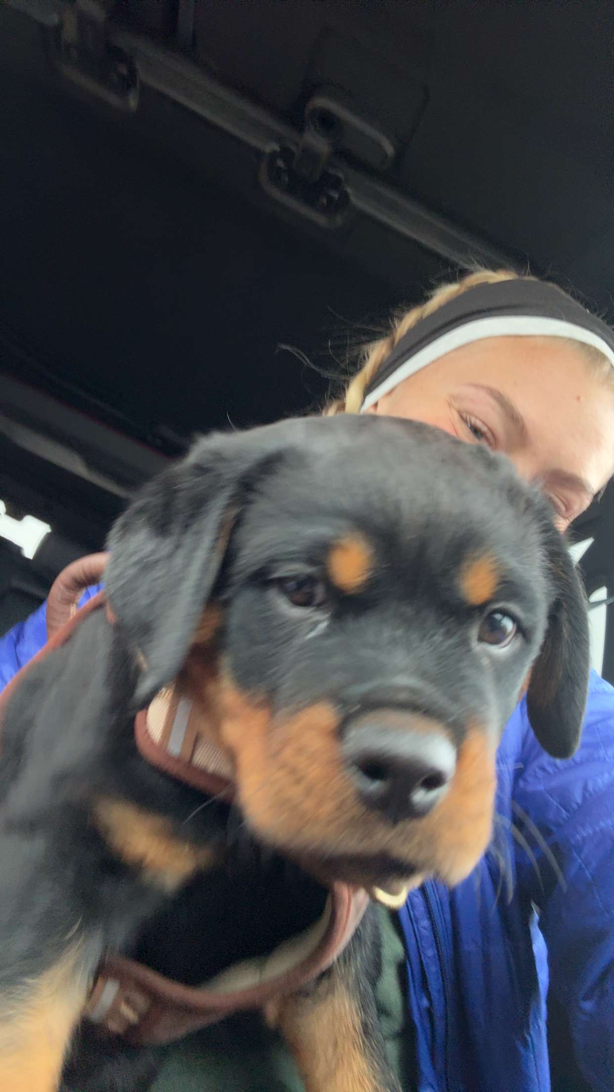 abigailwhhitee snapchat image archive image