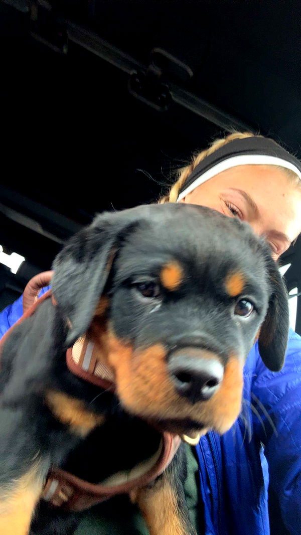 abigailwhhitee image ~ Altpins