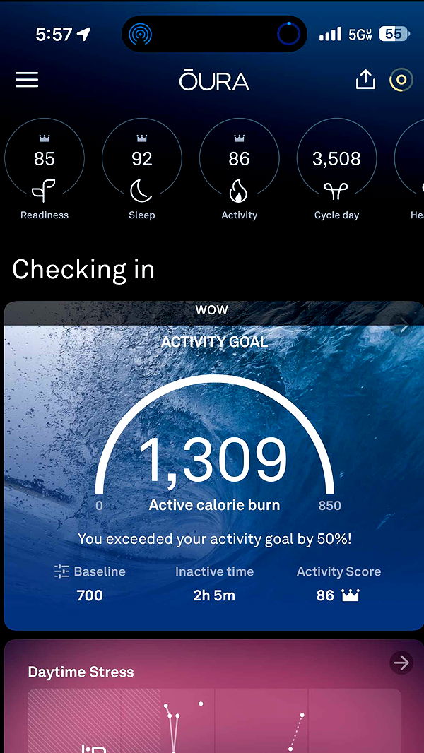 abigailwhhitee image ~ Altpins